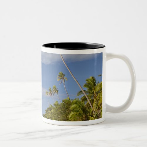Beach and palm trees Plantation Island Resort Two_Tone Coffee Mug