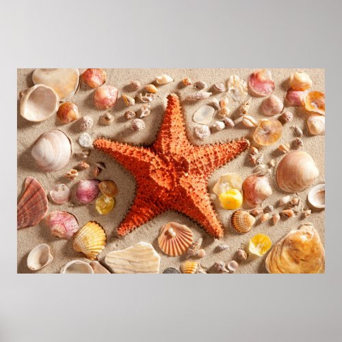 Beach And Sand Starfish Poster