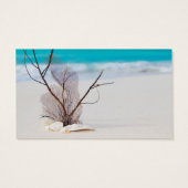 beach-and-sea-concept beach beauty blue caribbean (Back)