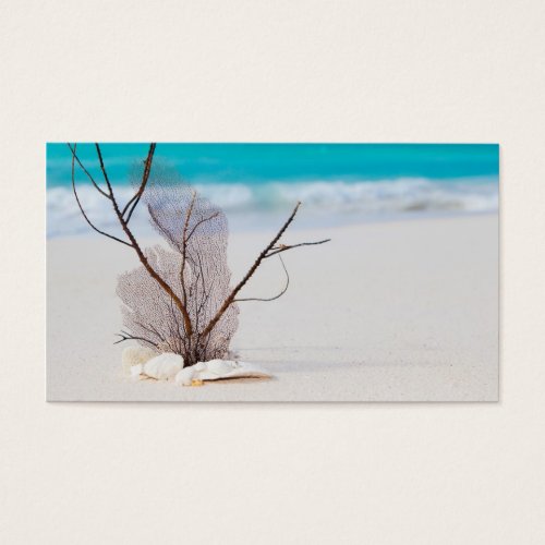 beach-and-sea-concept beach beauty blue caribbean business card templates