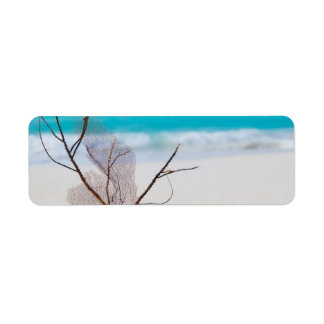 beach-and-sea-concept beach beauty blue caribbean label