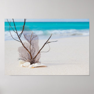 beach-and-sea-concept beach beauty blue caribbean poster