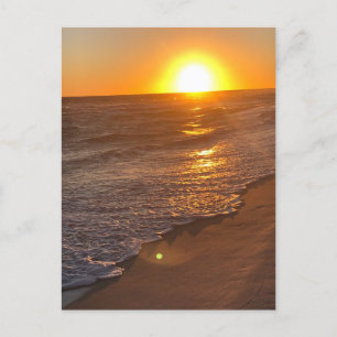 Beach  announcement postcard