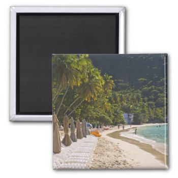 Beach At Cane Garden Bay  Island Of Tortola Magnet by tothebeach at Zazzle