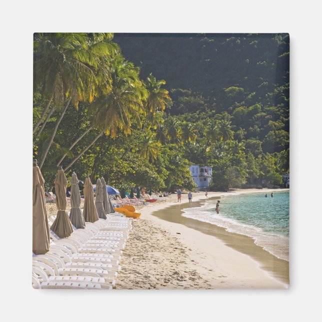 Beach at Cane Garden Bay, Island of Tortola Magnet (Front)