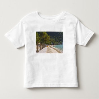 Beach At Cane Garden Bay  Island Of Tortola Toddler T-shirt by tothebeach at Zazzle