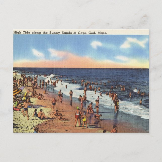 Beach at Cape Cod Postcard (Front)