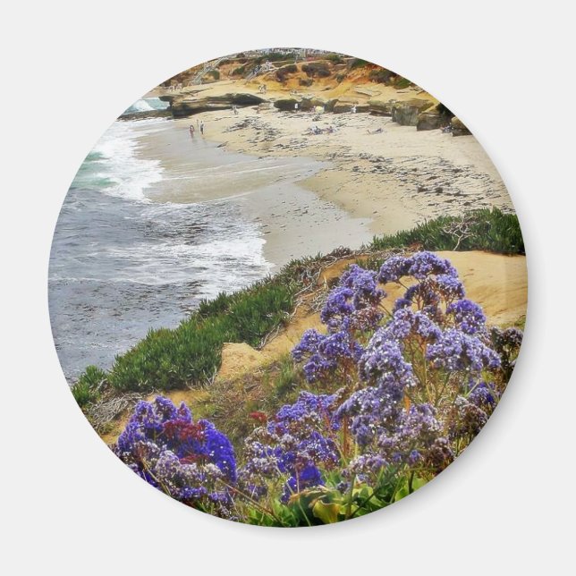 Beach At La Jolla Cove Magnet (Front)