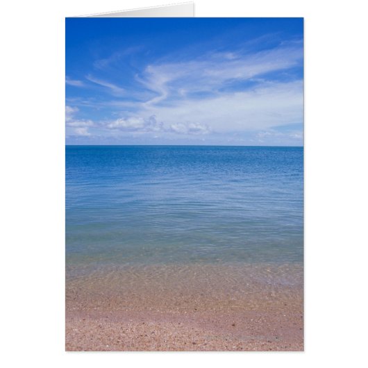 Beach at low tide cards (Front)
