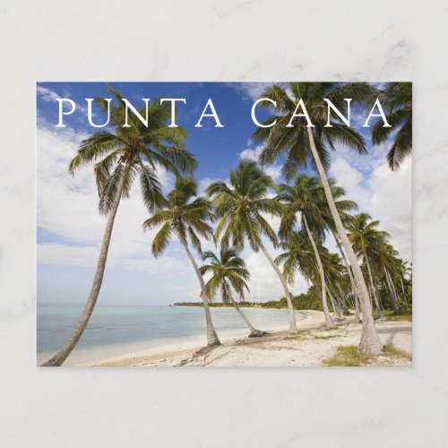 Beach at Punta Cana  Happy Birthday Postcard