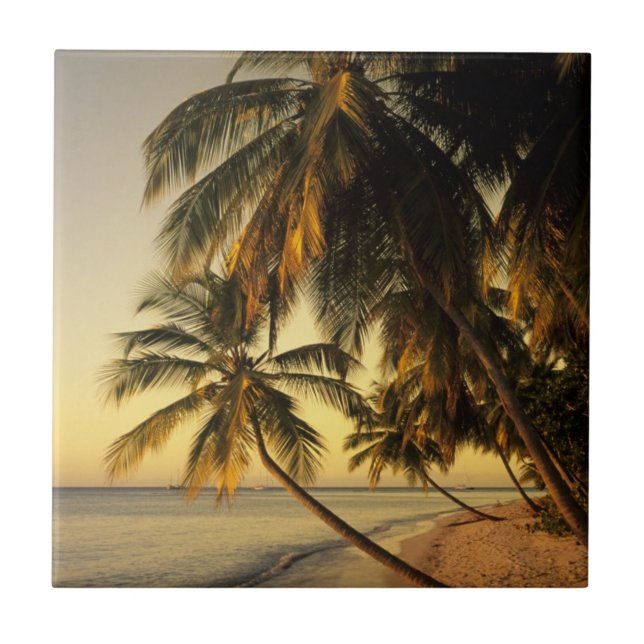 Beach at sunset, Trinidad Ceramic Tile (Front)