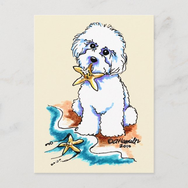 Beach Babe Bichon Frise Postcard (Front)
