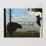 Beach Bears Postcard