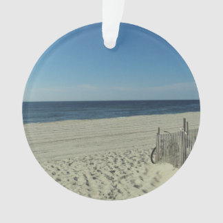 Beach Beauty Ornament