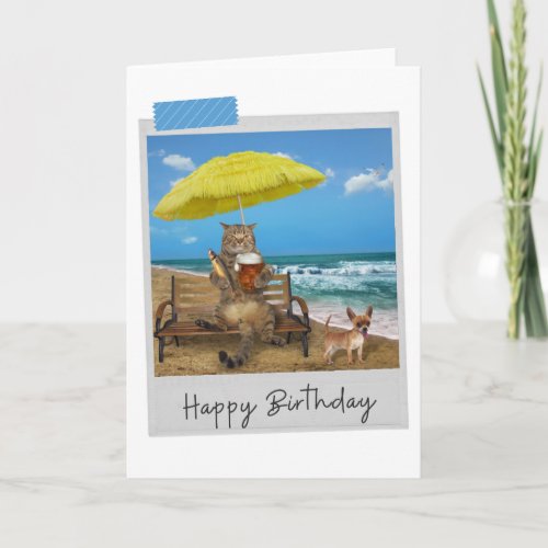 Beach Beer Cat Funny Birthday Card