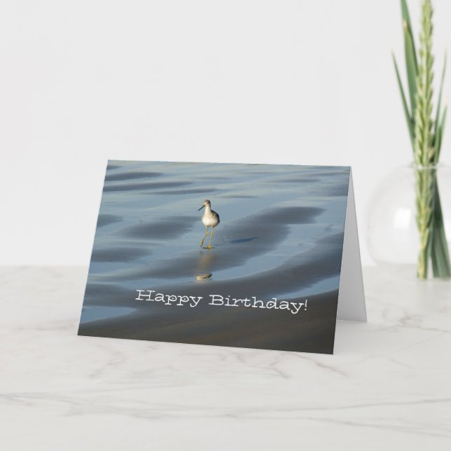 Beach Bird Happy Birthday 1 Card (Front)