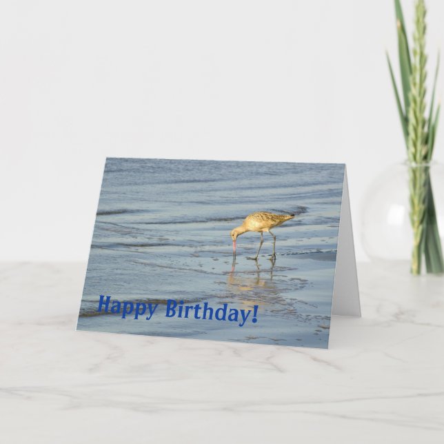 Beach Bird Happy Birthday 3 Card (Front)