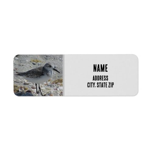 Beach Bird Nature Photo Gray Coastal Animal Label