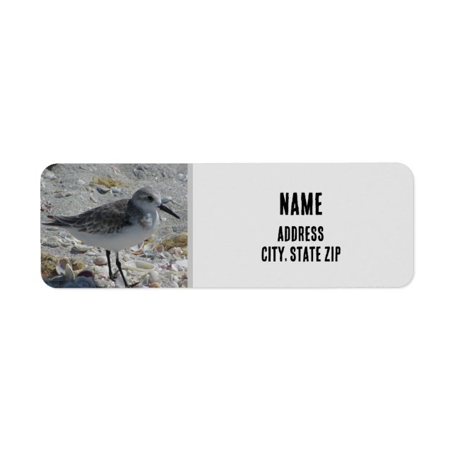 Beach Bird Nature Photo Gray Coastal Animal Label (Front)