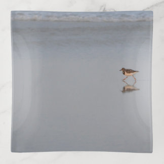 Beach Bird Sandpiper Nature Wildlife Photography Trinket Tray