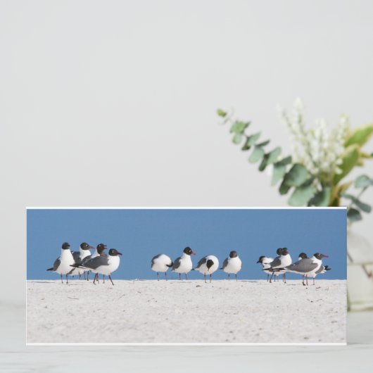 Beach Birds (Standing Front)