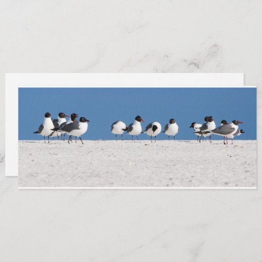 Beach Birds (Front/Back)