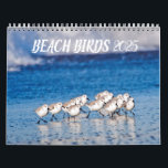 Beach Birds 2025 Calendar<br><div class="desc">Enjoy the beach every month with this photographic collection of various shore birds,  including pelicans,  seagulls,  herons,  egrets,  curlews and plovers, on sunny blue beaches. Photos taken at Capistrano Beach and Dana Point,  California.</div>