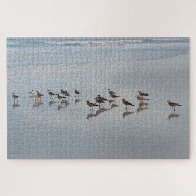 Beach Birds Coastal Nature Photography Hard Jigsaw Puzzle (Horizontal)