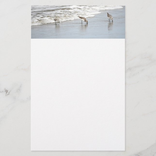 Beach Birds in the Surf Notes Stationery (Front)