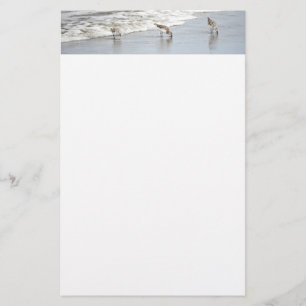 Beach Birds in the Surf Photo Stationery Paper
