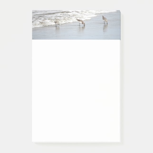 Beach Birds in the Surf Post-it Notes (Front)