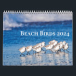 Beach Birds Photography 2023 Calendar<br><div class="desc">Enjoy the beach every month of the year with this photography collection of various shore birds,  including pelicans,  seagulls,  herons,  egrets,  curlews and plovers,  on sunny beaches. Photos taken at Capistrano Beach and Dana Point,  California.</div>