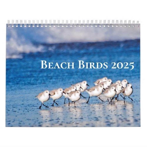 Beach Birds Photography 2025 Calendar