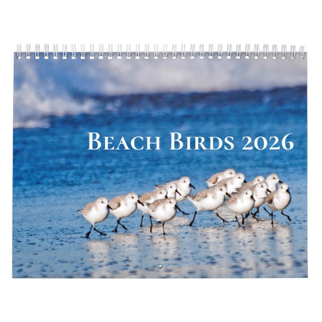 Beach Birds Photography Calendar (Cover)