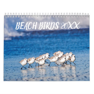 Beach Birds Photography Calendar