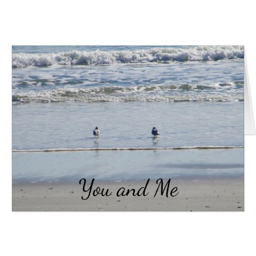 BEACH BIRDS SAY YOU AND ME FOR ETERNITY