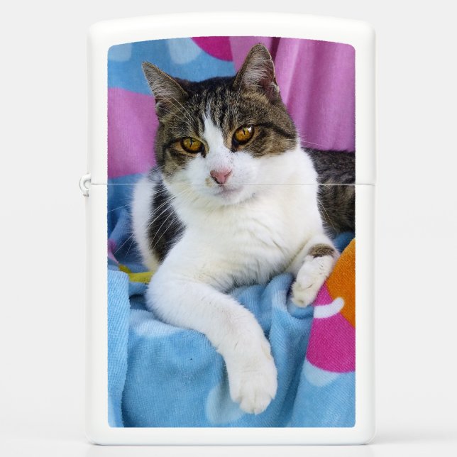 Beach Blanket Cutie Zippo Lighter (Front)