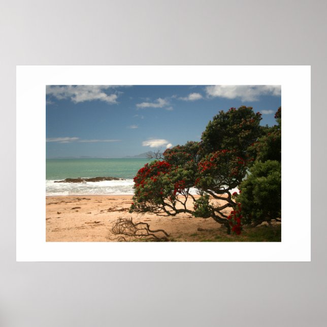 Beach Bliss - Pohutukawa Tree Poster (Front)