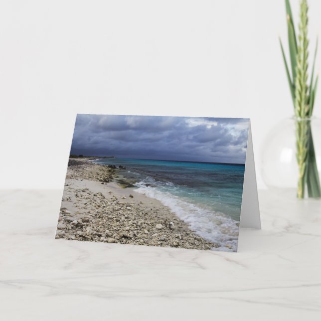 Beach..Bonaire Caribbean Greeting Card (Front)