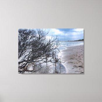 Beach Branch Wrapped Canvas Print by artinphotography at Zazzle