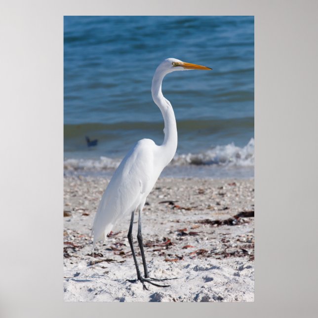 Beach-bum Heron Poster (Front)