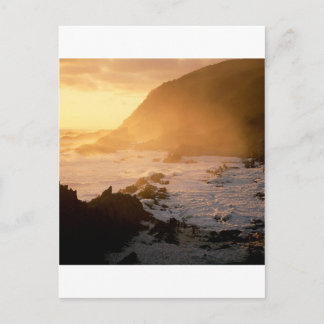 Beach Cape Good Hope South Africa Postcard