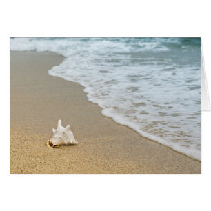 Beach Cards