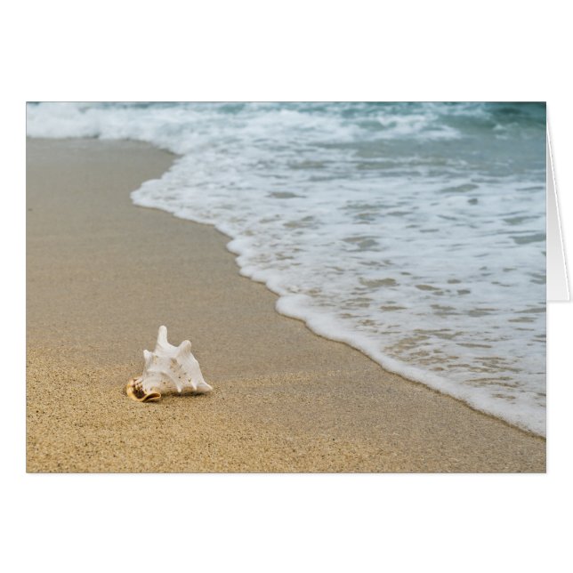 Beach Cards (Front Horizontal)