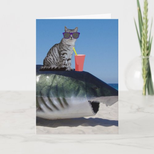 BEACH CAT ON SHARK FUNNY BIRTHDAY CARD