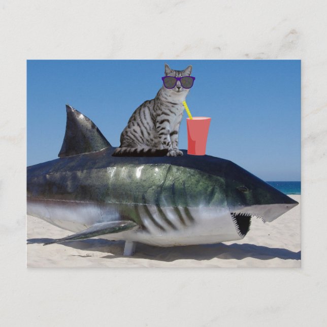 BEACH CAT ON SHARK FUNNY POSTCARD (Front)