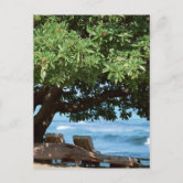 Postcard 46988 Photocard Beach Deckchairs 