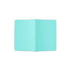 beach chic turquoise aqua Robins Egg Blue