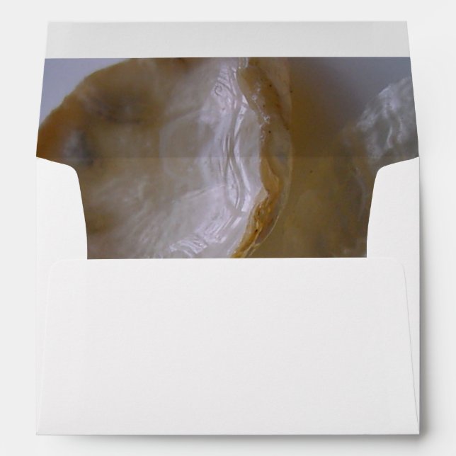Beach Clams 5x7 Wedding Invitation Envelope (Back (Bottom))