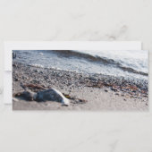 Beach close up (Back)